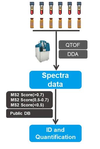 untargeted metabolomics workflow metwarebio MetwareBio untargeted metabolomics workflow using LC-MS QTOF and DDA, showing sample injection, spectral data acquisition, MS2 score-based identification, and quantification via public metabolite databases.